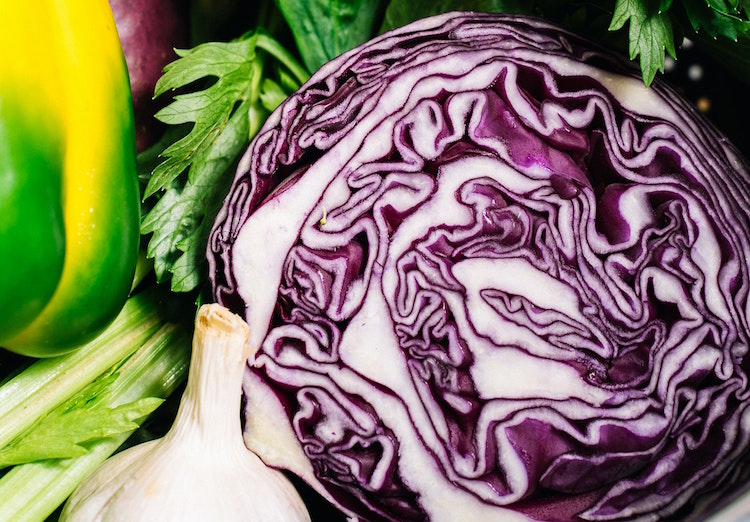 紫色卷心菜热量，紫色卷心菜营养成分表